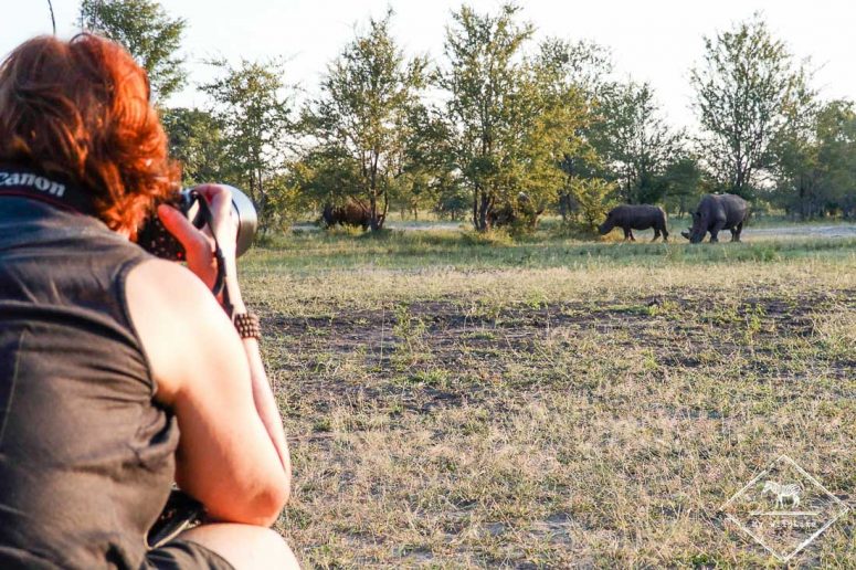 Rhinocéros blancs, parc national Mosi Oa Tunya