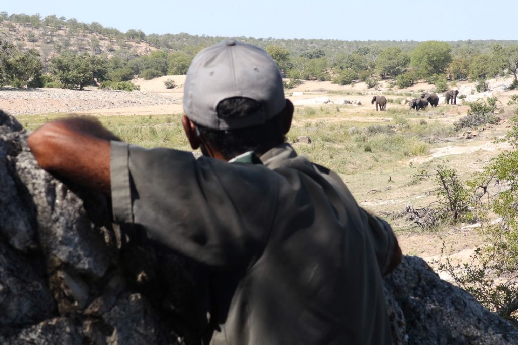 Kruger : Olifants River Backpacking Trail