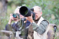 Quel matériel photo pour un safari ou la photographie animalière ?