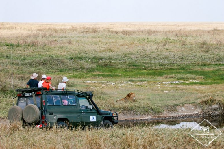 Serengeti le guide pratique