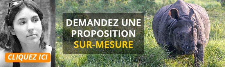 Demande de devis à une agence locale au Népal