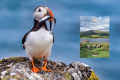 [Livre] Ecosse : les clés pour bien voyager (2ème édition)