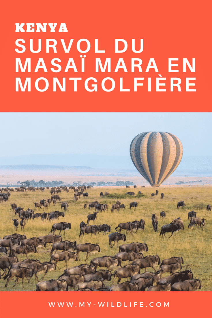 Survol du Masaï Mara en montgolfière