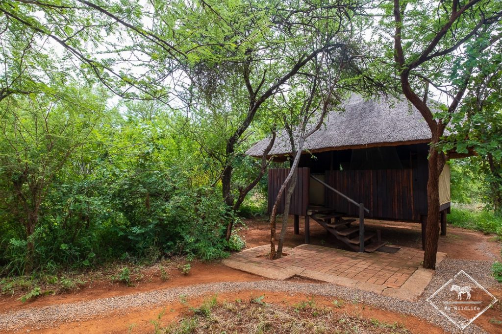 Mosetlha Bush Camp & Eco Lodge, Madikwe Game Reserve