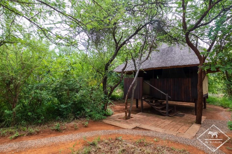 Mosetlha Bush Camp & Eco Lodge, Madikwe Game Reserve.