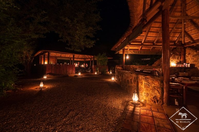 Mosetlha Bush Camp & Eco Lodge, Madikwe Game Reserve.