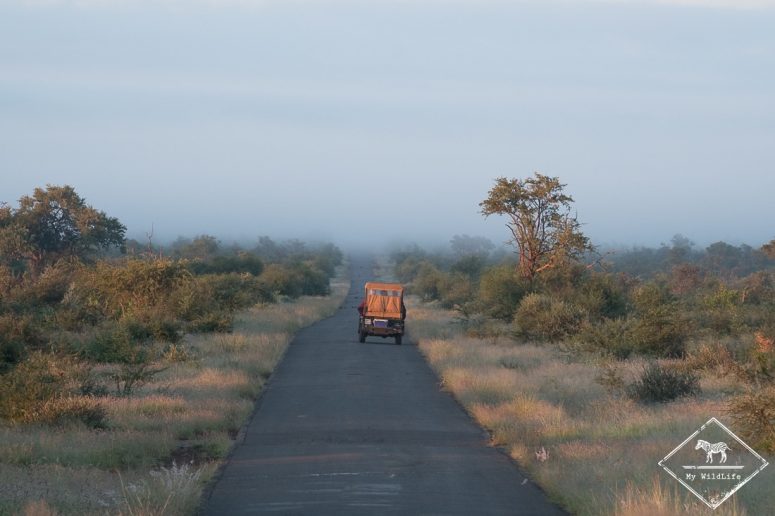 Madikwe Game Reserve
