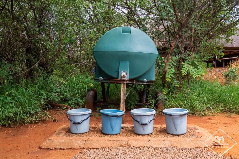 Mosetlha Bush Camp & Eco Lodge, Madikwe Game Reserve.