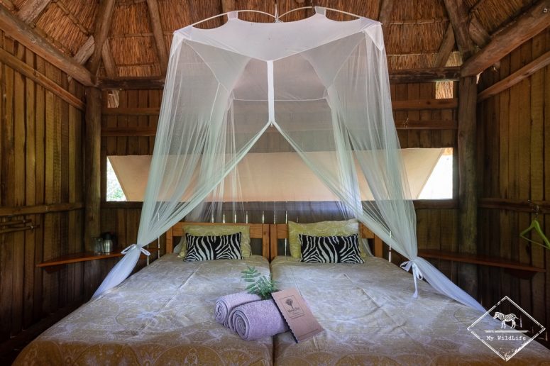 Mosetlha Bush Camp & Eco Lodge, Madikwe Game Reserve.