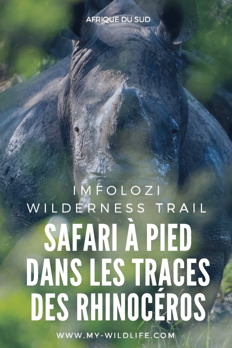 Imfolozi wilderness Trail