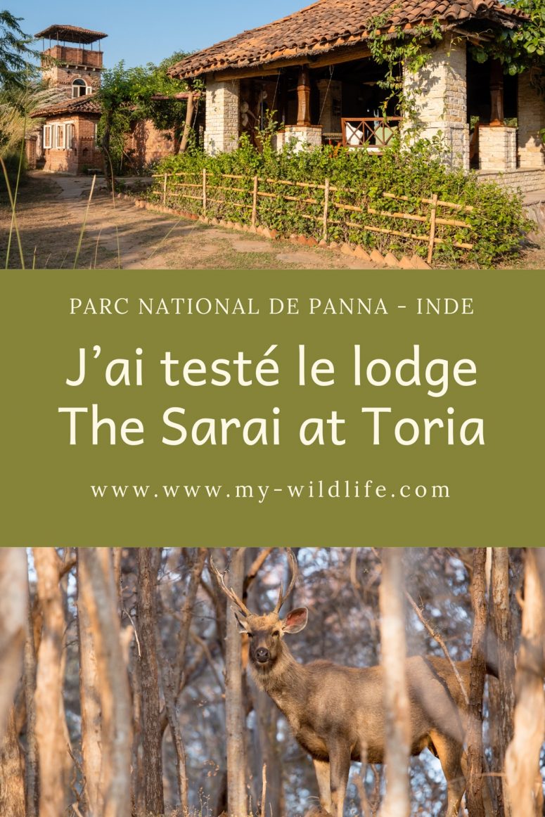 The Sarai at Toria