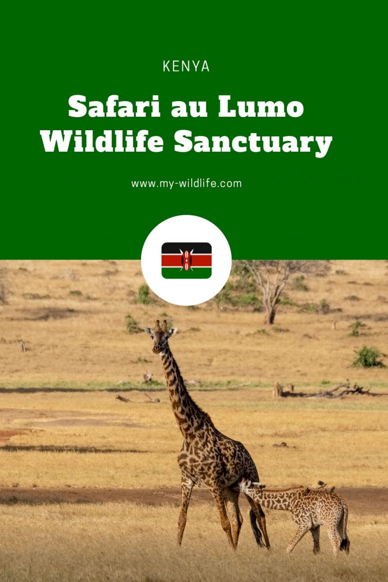 Lumo Wildlife Sanctuary