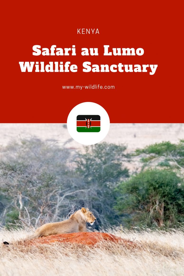 Lumo Wildlife Sanctuary