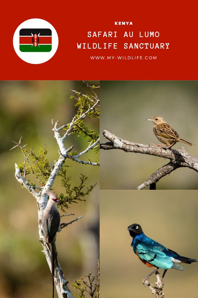 Lumo Wildlife Sanctuary