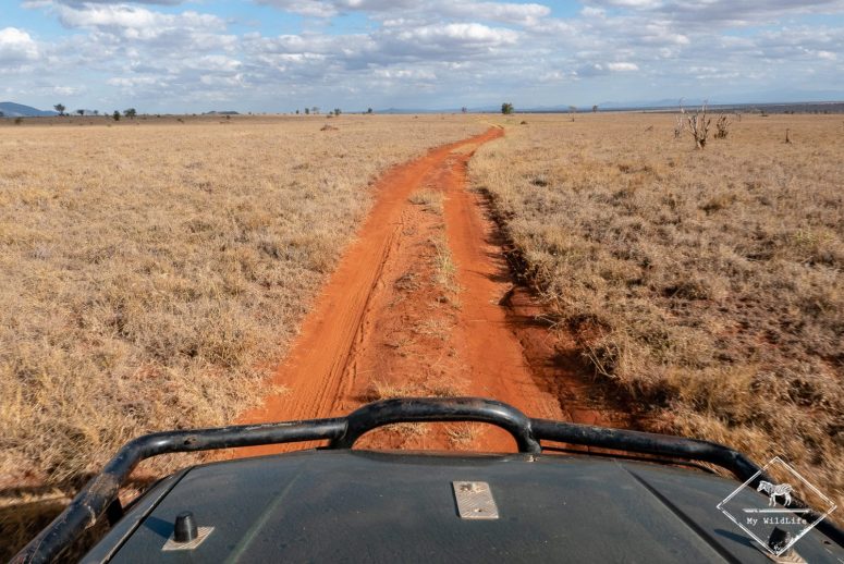 Lumo Wildlife Sanctuary