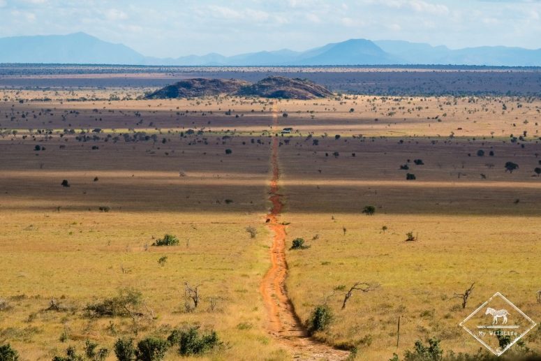 Lumo Wildlife Sanctuary