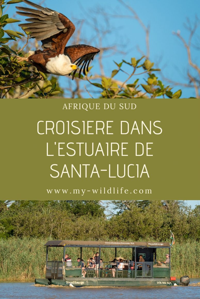 Safari dans le parc national iSimangaliso