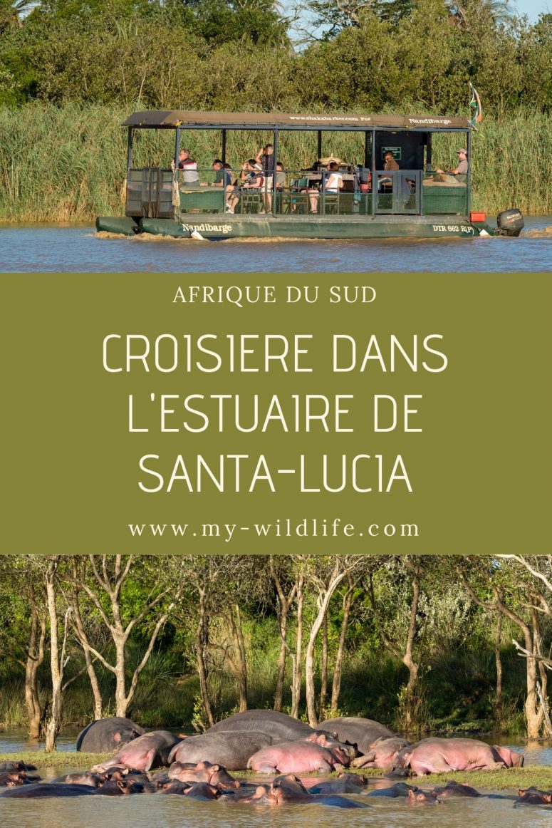 Safari dans le parc national iSimangaliso