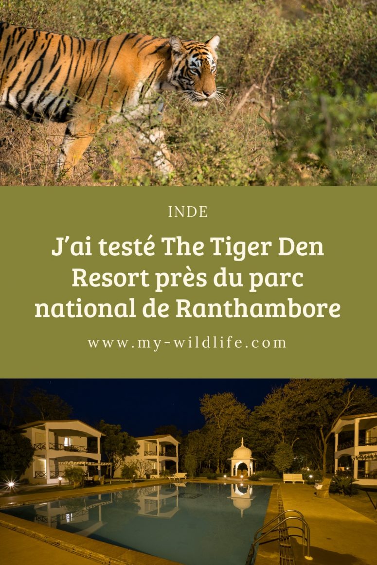 The Tiger Den Resort