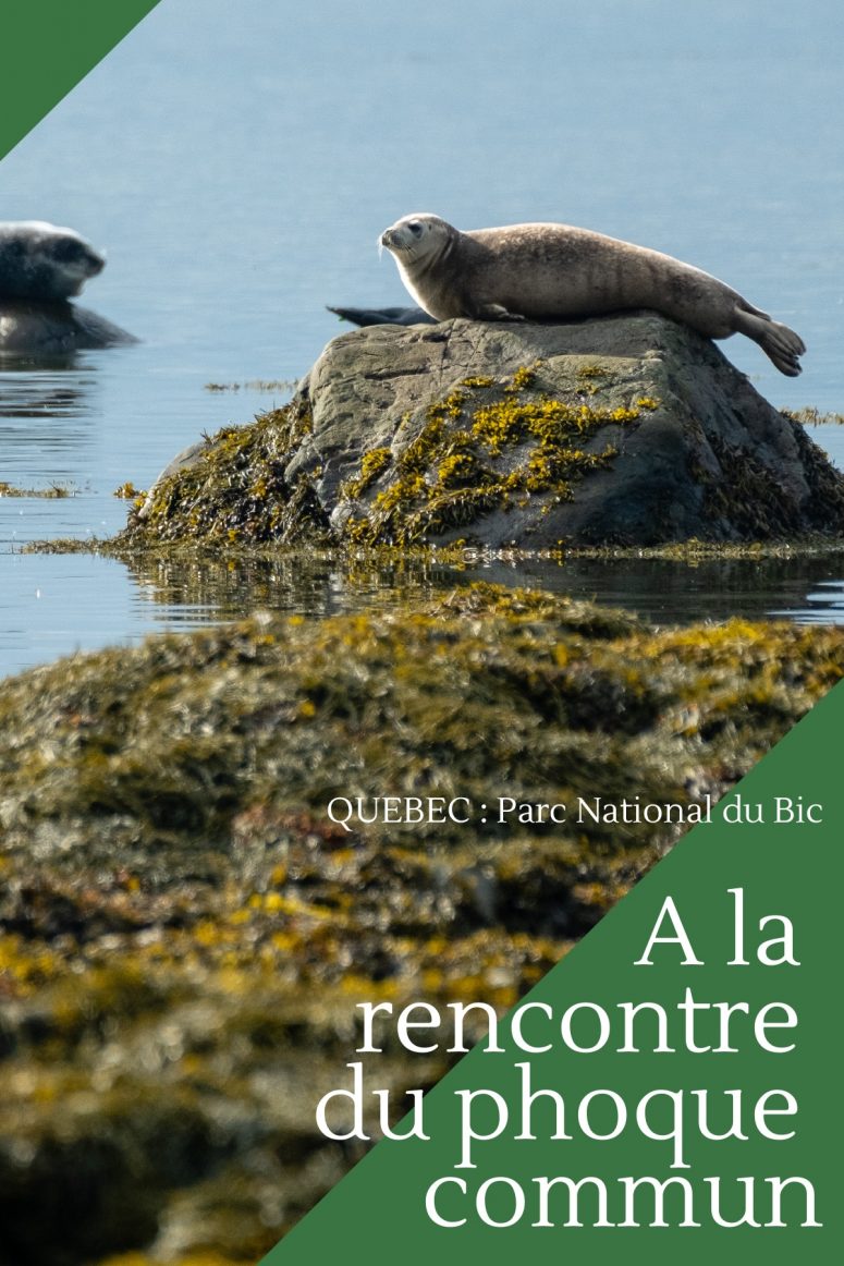 Parc national du Bic