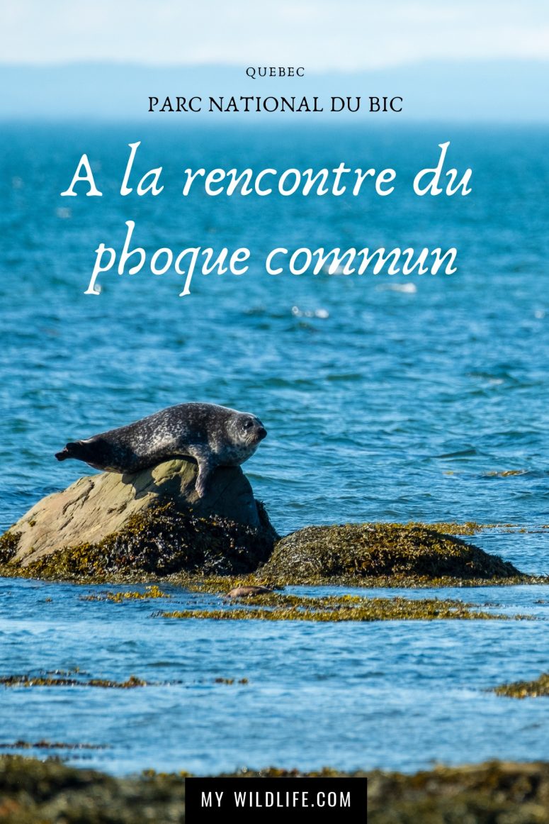 Parc national du Bic