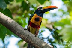 Costa Rica : les clés pour bien voyager