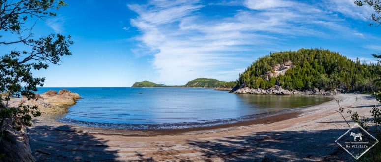Anse à Wilson, Parc national du Bic