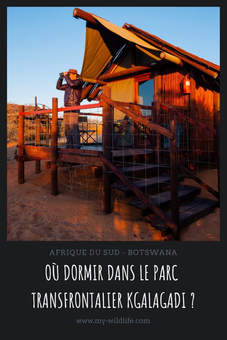 Où dormir dans le parc transfrontalier Kgalagadi ?