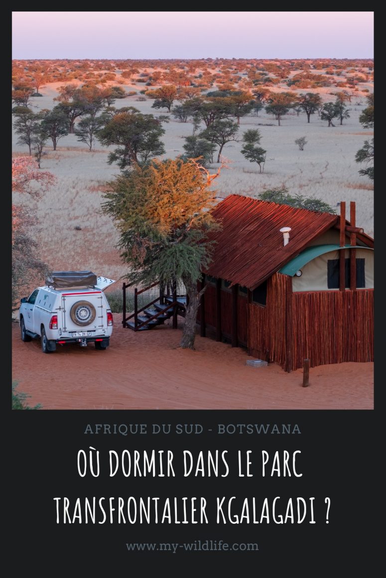 Où dormir dans le parc transfrontalier Kgalagadi ?