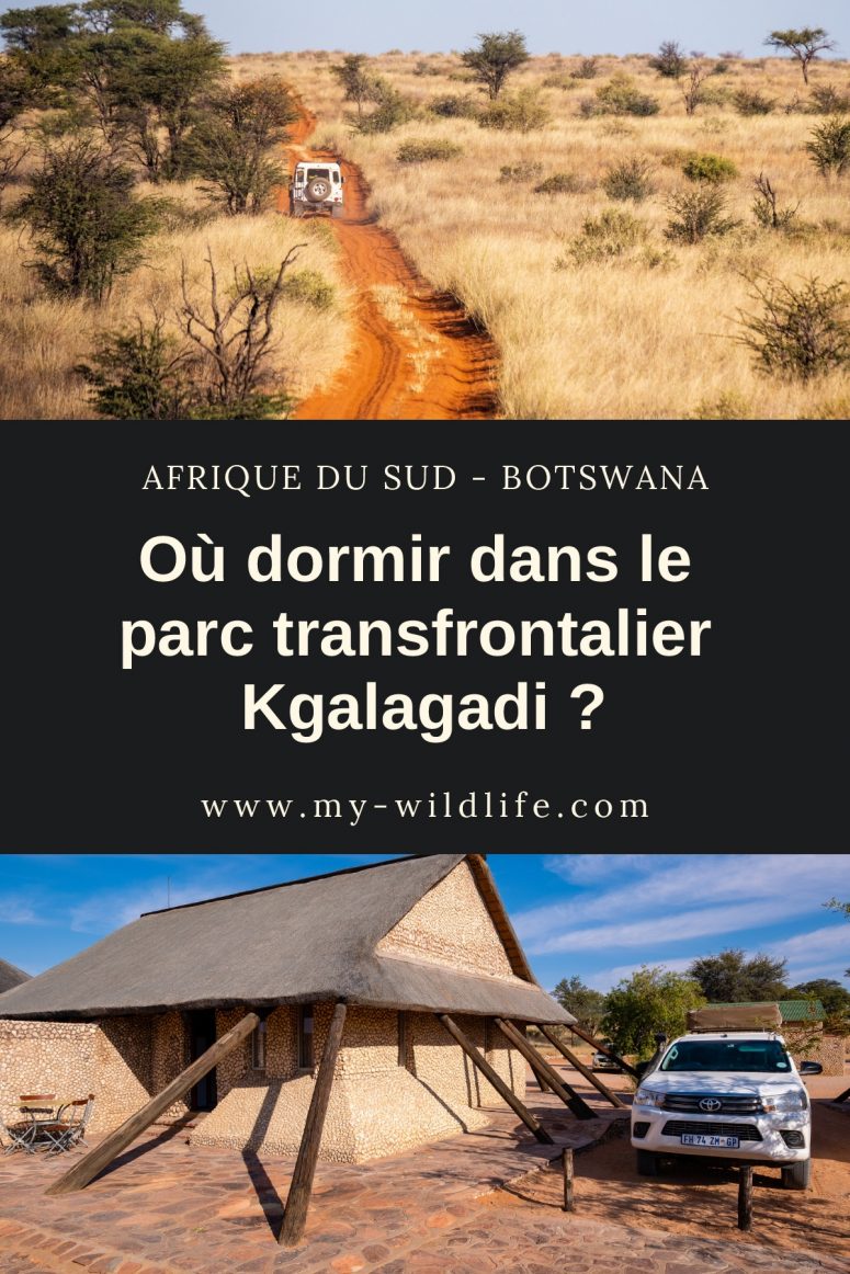Où dormir dans le parc transfrontalier Kgalagadi ?