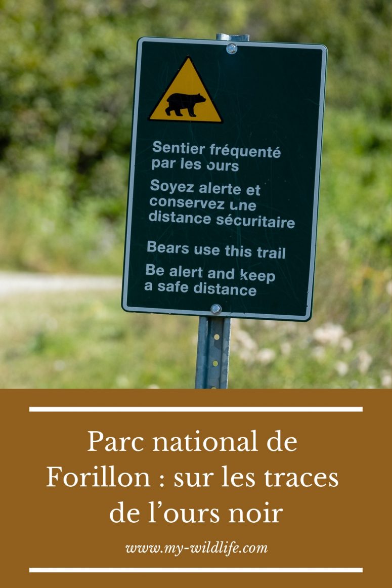 Parc national de Forillon