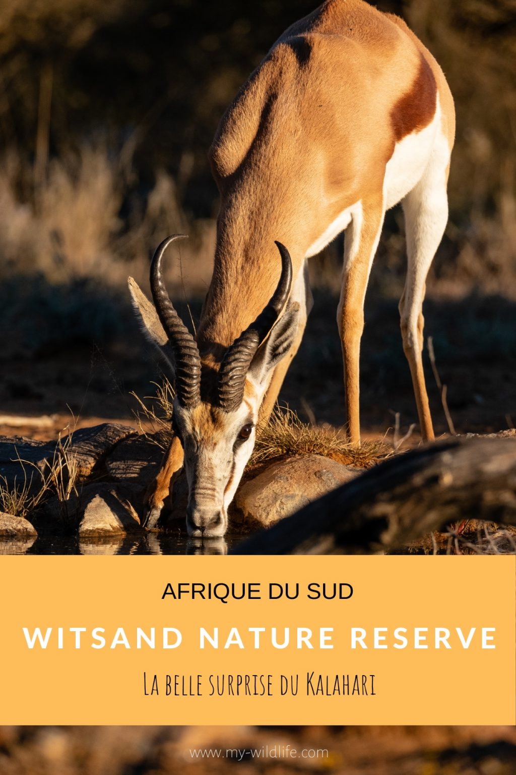 Witsand Nature reserve, Afrique du Sud