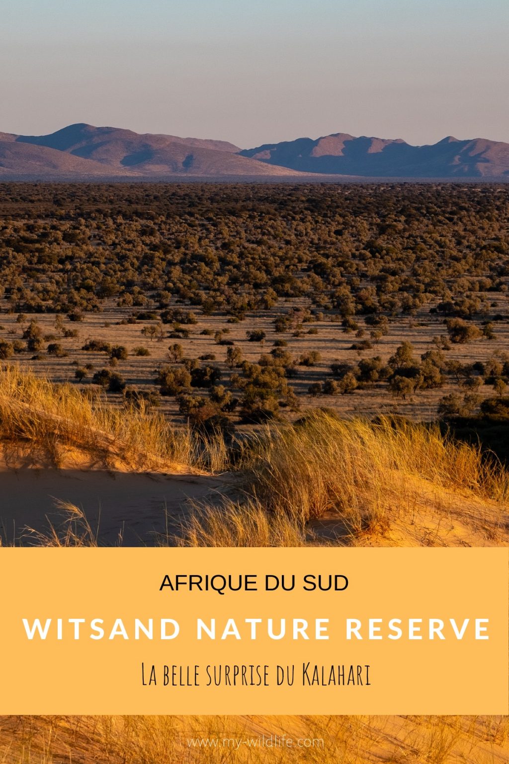 Witsand Nature reserve, Afrique du Sud