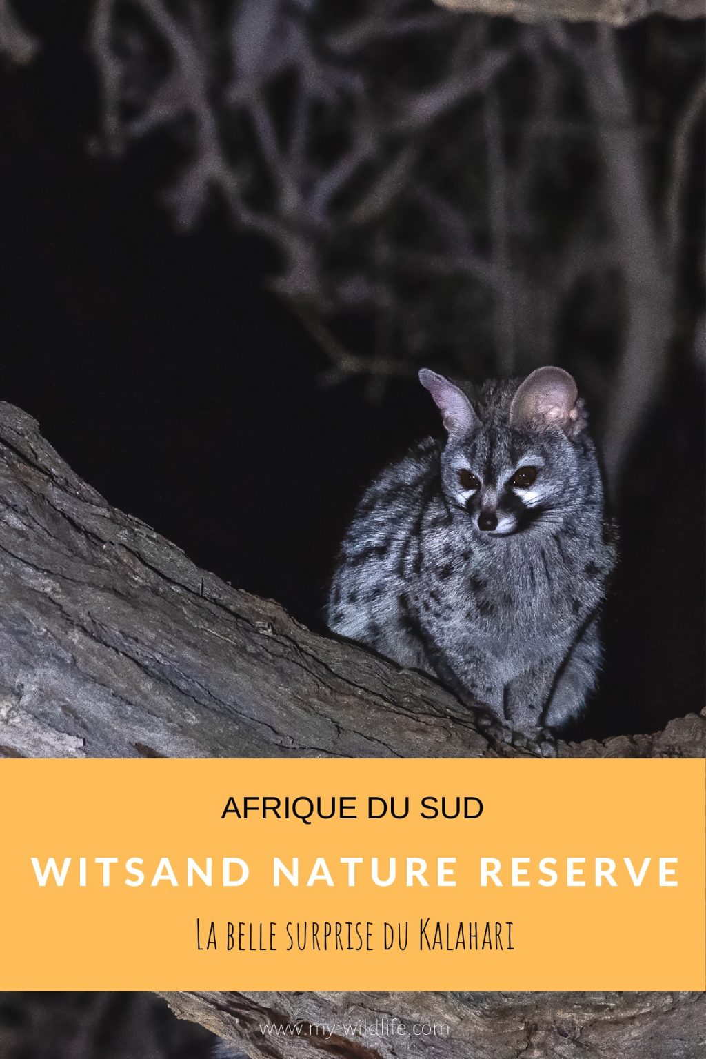 Witsand Nature reserve, Afrique du Sud