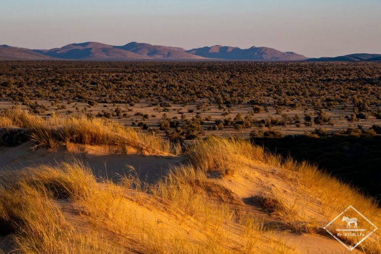 Witsand Nature Reserve