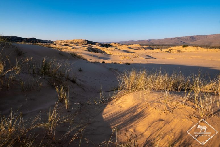 Witsand Nature Reserve