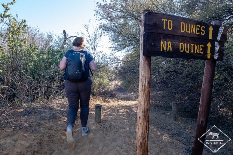 Witsand Nature reserve, Afrique du Sud