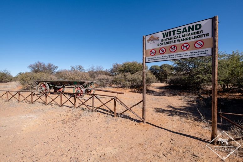 Witsand Nature reserve, Afrique du Sud