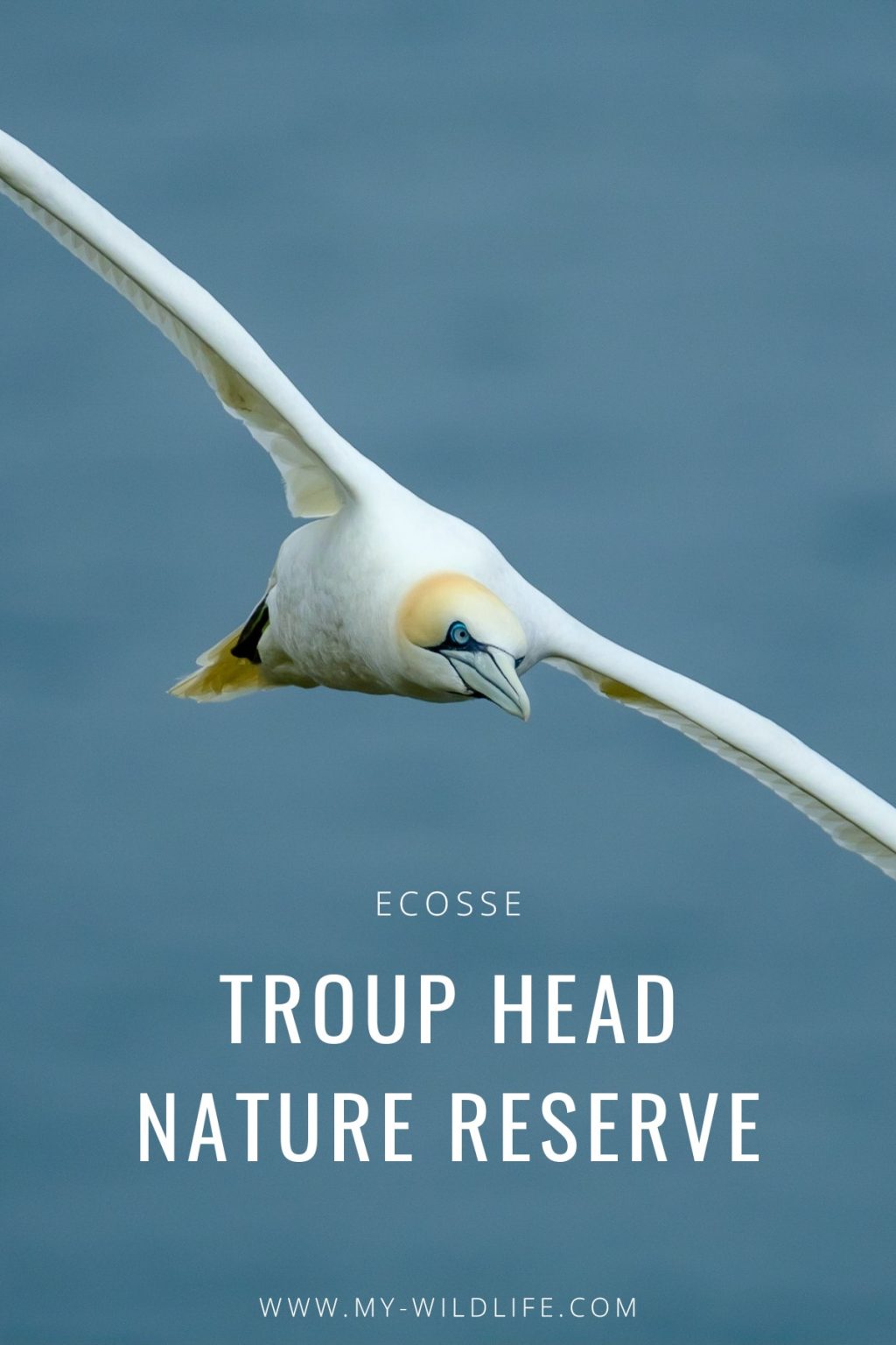 Troup Heand Nature Reserve