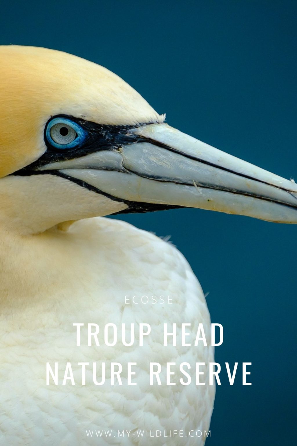 Troup Heand Nature Reserve