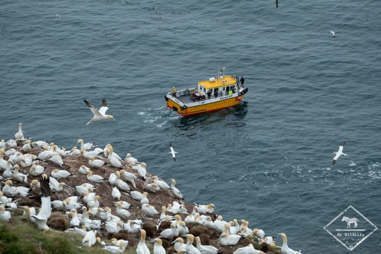 Troup head nature Reserve