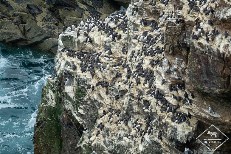 Troup head nature Reserve