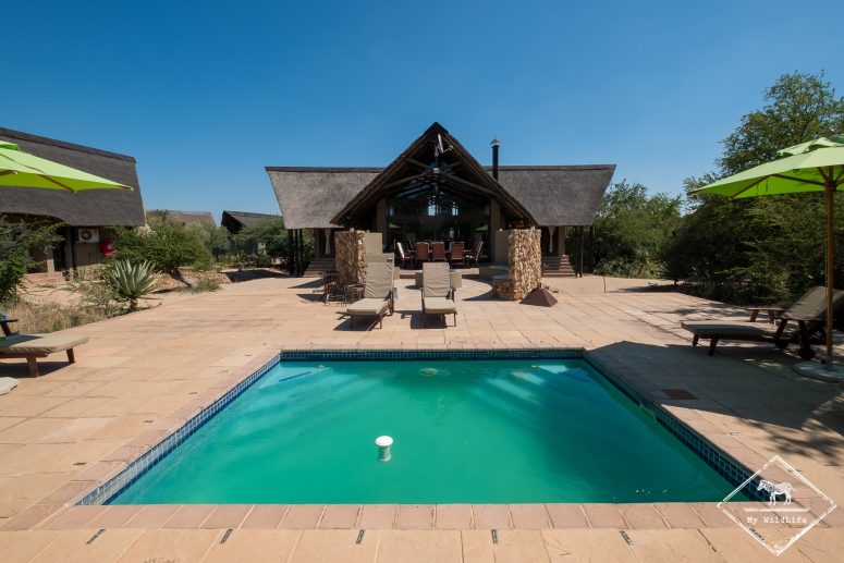 Piscine du Morokolo Lodge