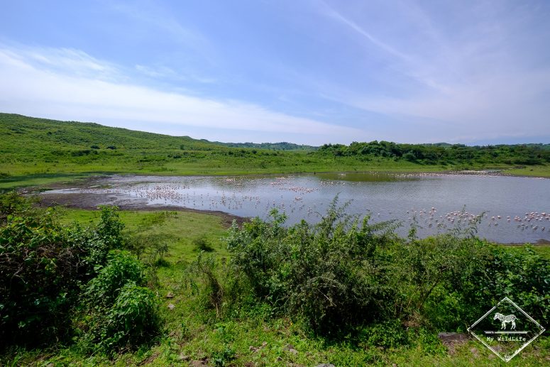 Parc national Arusha