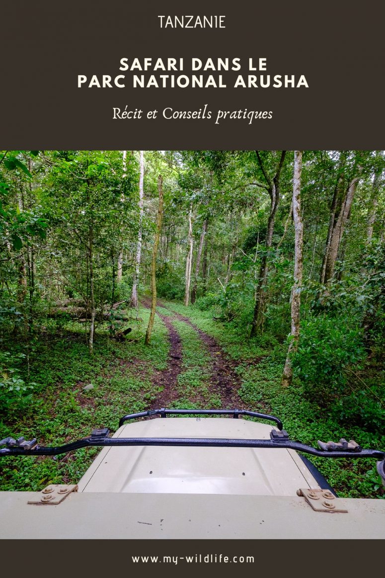 Parc national Arusha