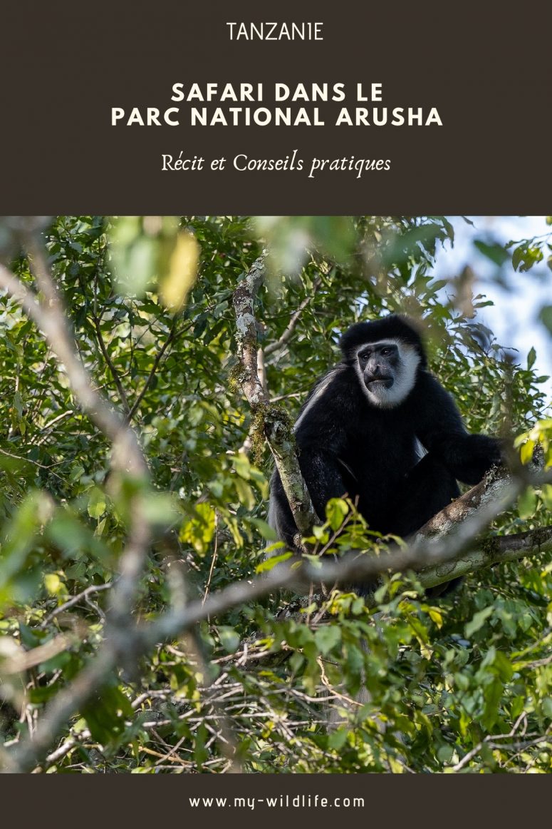 Parc national Arusha