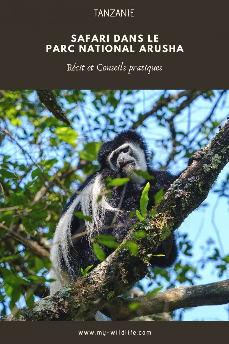 parc national arusha