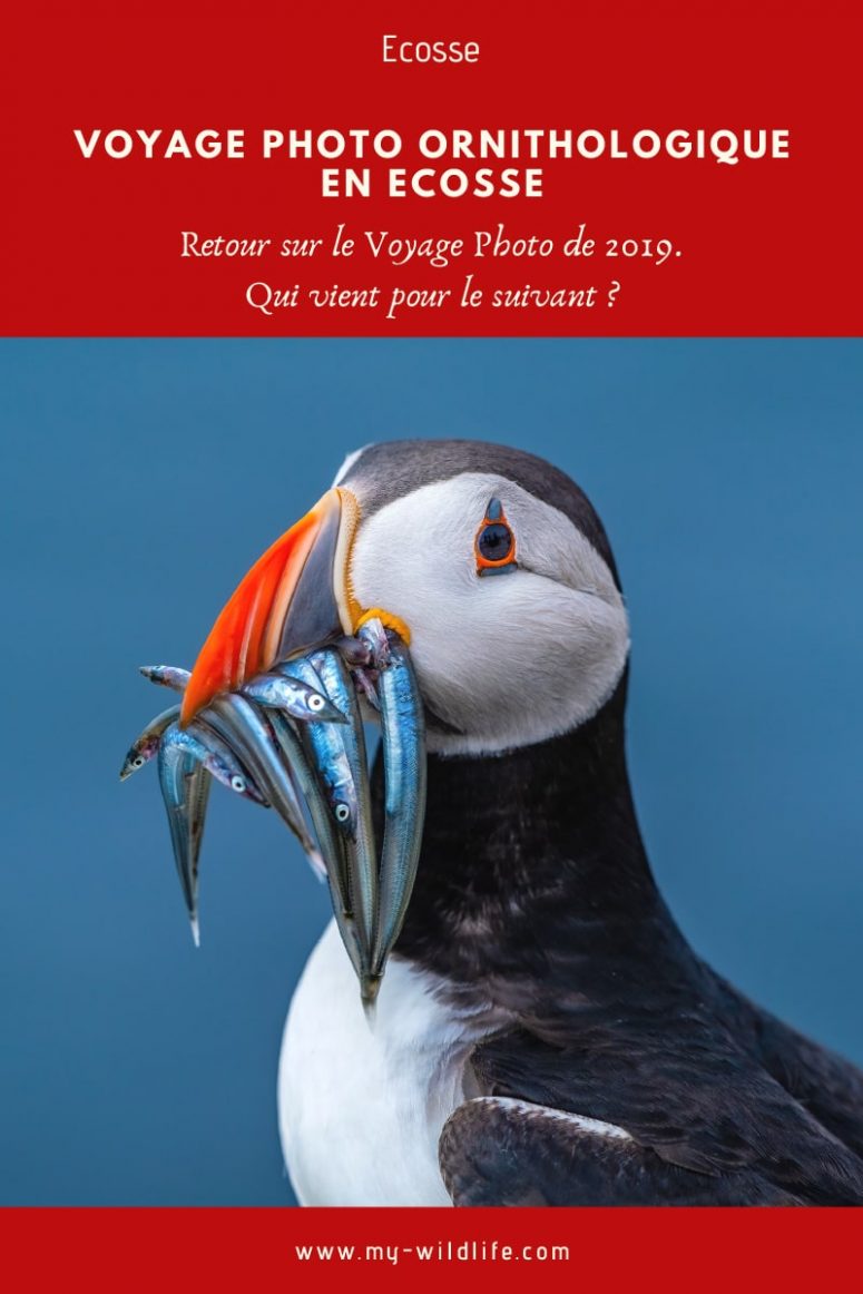 Voyage Photo en Ecosse