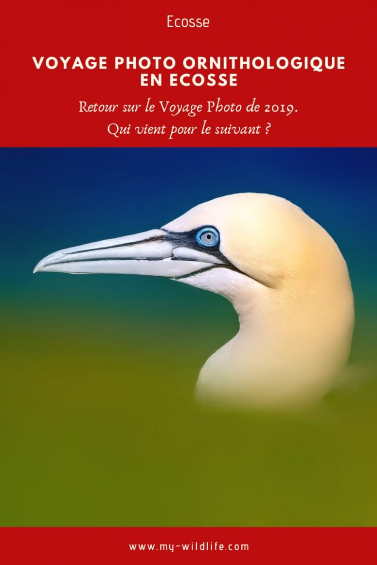 Voyage Photo en Ecosse