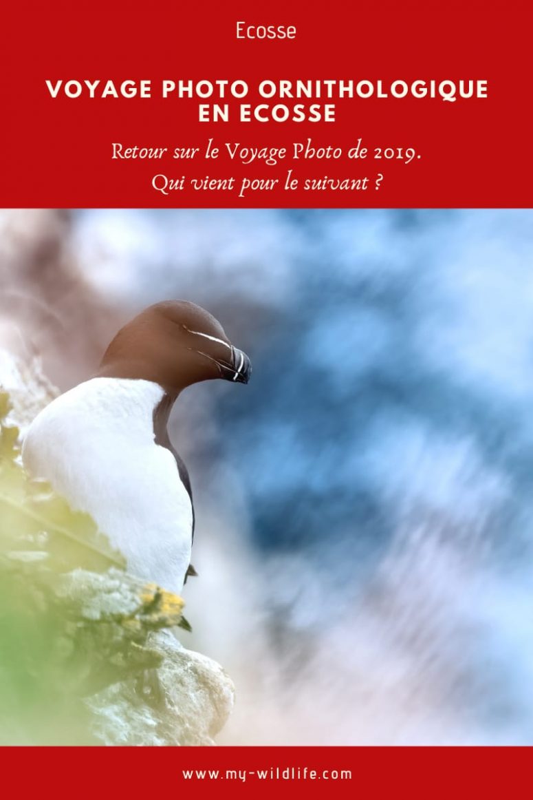 Voyage Photo en Ecosse